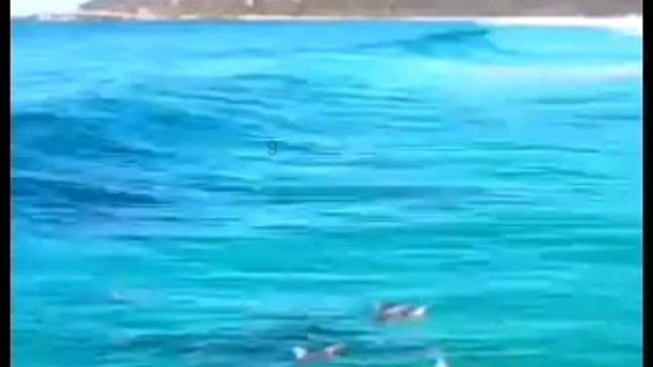侏罗纪时代逃生